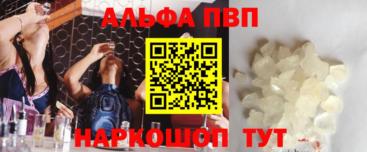 A PVP СК Новочеркасск