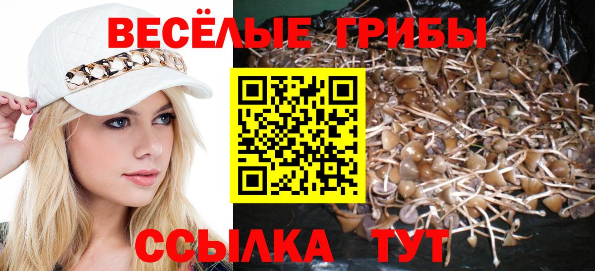 Новочеркасск  Галлюциногенные грибы Psilocybine cubensis  Вход с VPN 