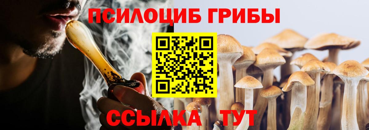 Псилоцибиновые грибы прущие грибы Новочеркасск